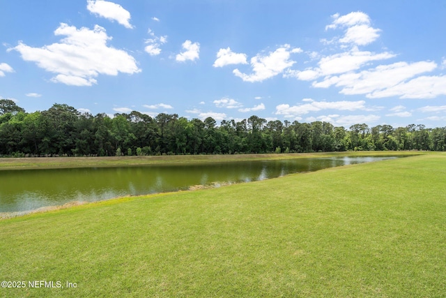 4402 Warm Springs Way, Middleburg, FL 32068 - water view