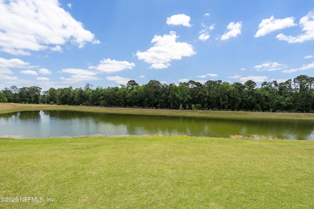 4402 Warm Springs Way, Middleburg, FL 32068 - water view featuring a forest