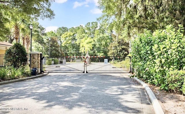 9421 Osprey Branch Trl Unit 4, Jacksonville, FL 32257 - view of gate