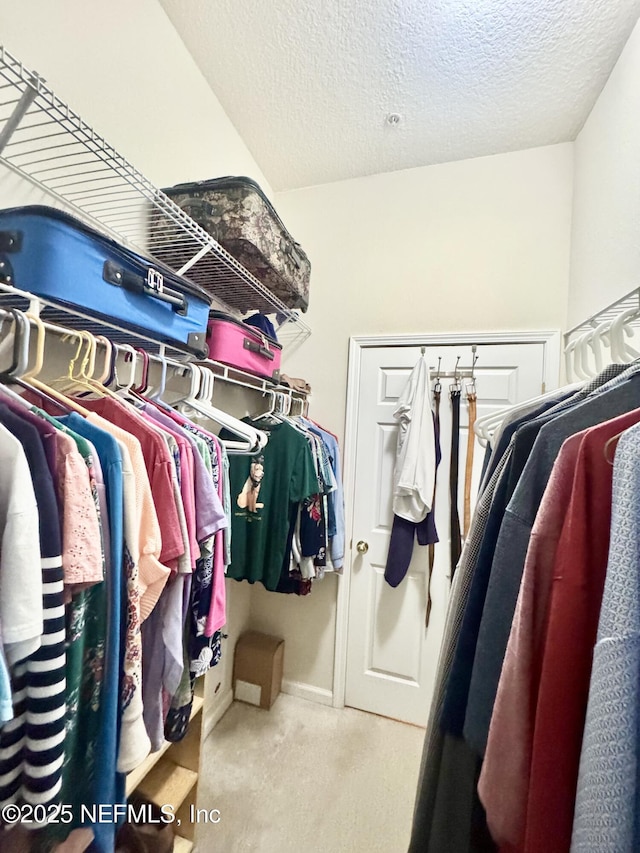 9421 Osprey Branch Trl Unit 4, Jacksonville, FL 32257 - spacious closet with carpet floors