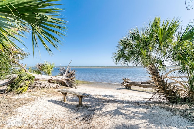 72 Whistler Trce, Ponte Vedra, FL 32081 - view of water feature