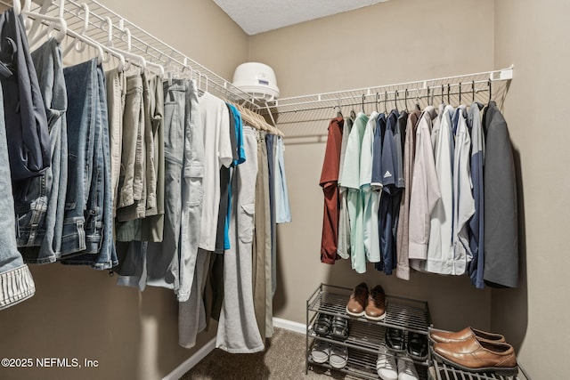 walk in closet with carpet flooring
