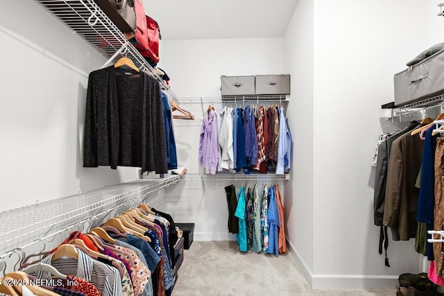 walk in closet featuring carpet floors