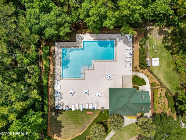 drone / aerial view