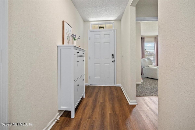 2294 Falling Star Ln, Green Cove Springs, FL 32043 - entrance foyer featuring a textured wall, wood finished floors, and a textured ceiling