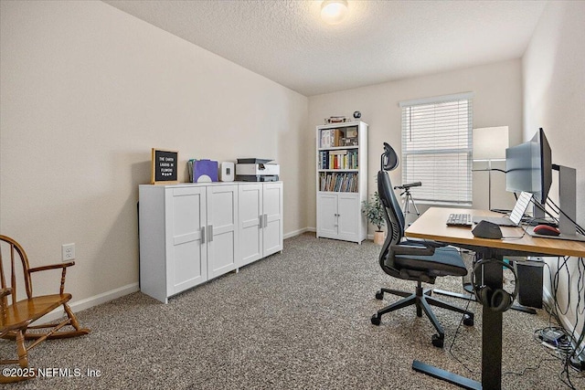 2294 Falling Star Ln, Green Cove Springs, FL 32043 - office space featuring carpet floors and a textured ceiling