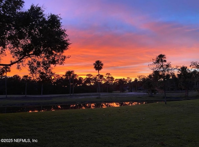 500 Sandiron Cir Unit 517, Ponte Vedra Beach, FL 32082 - view of yard