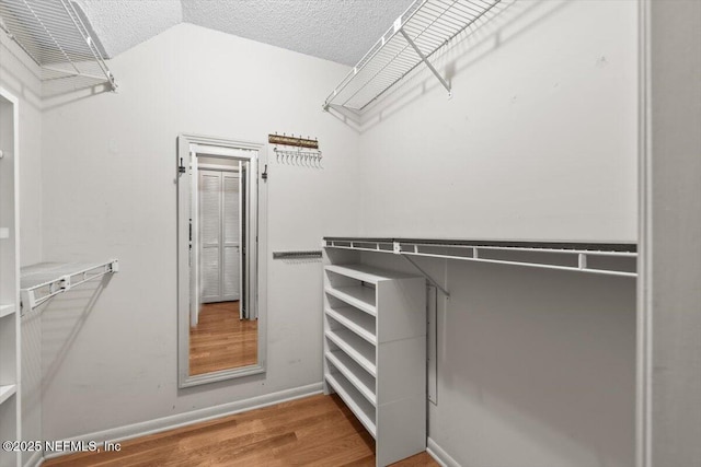 spacious closet featuring wood finished floors