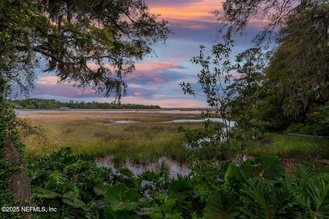 view of nature with a water view