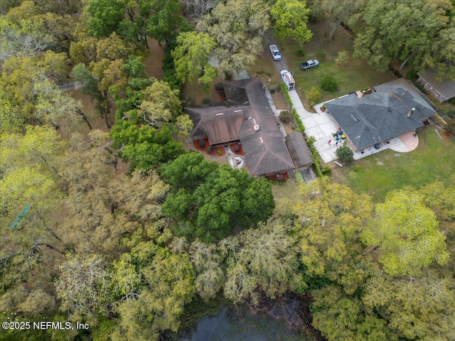 bird's eye view