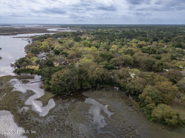 drone / aerial view featuring a water view and a wooded view