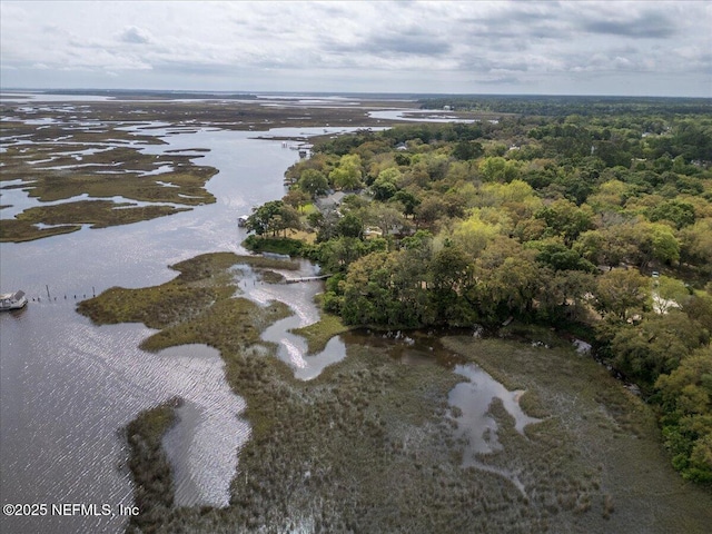 birds eye view of property with a view of trees and a water view