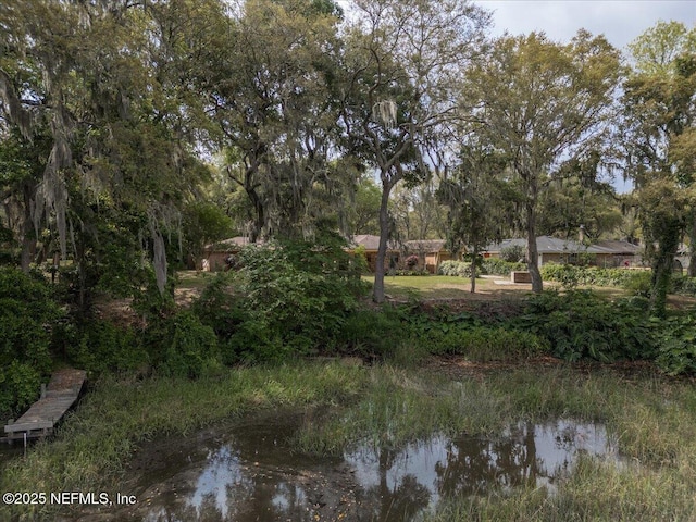 view of nature featuring a water view