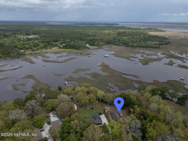 birds eye view of property featuring a water view and a forest view