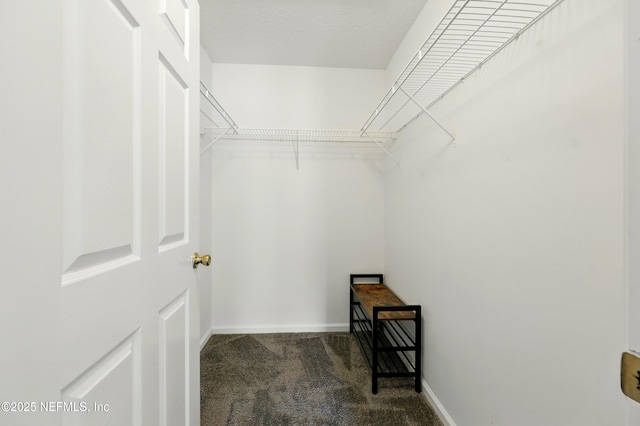 157 Jardin De Mer Pl Unit 157, Jacksonville Beach, FL 32250 - spacious closet featuring carpet floors