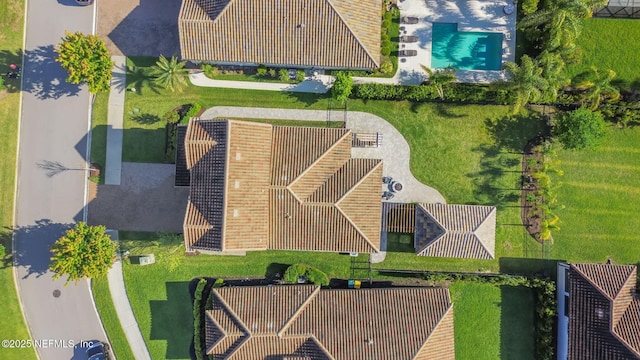 bird's eye view