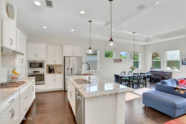 kitchen with a sink, appliances with stainless steel finishes, a tray ceiling, under cabinet range hood, and dark wood-style flooring