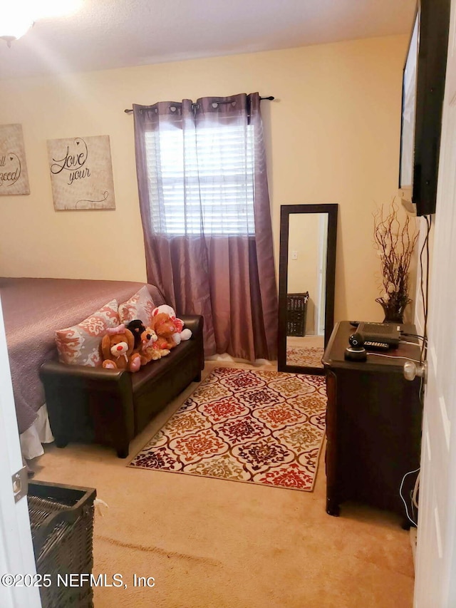 bedroom featuring carpet