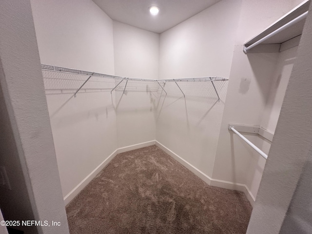 1116 Morgans Treasure Rd, Saint Augustine, FL 32084 - walk in closet with carpet