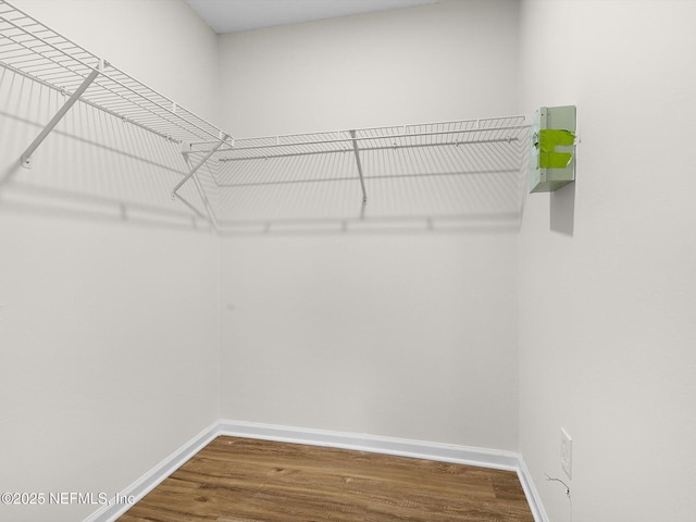 spacious closet featuring wood finished floors