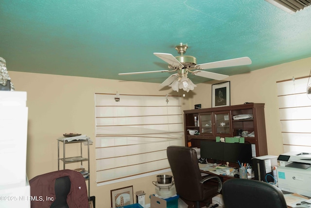 423 St Augustine Blvd, Jacksonville Beach, FL 32250 - photo 9