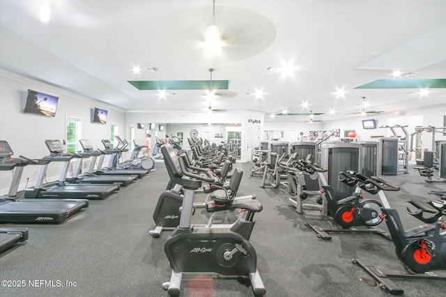 gym featuring ornamental molding and ceiling fan