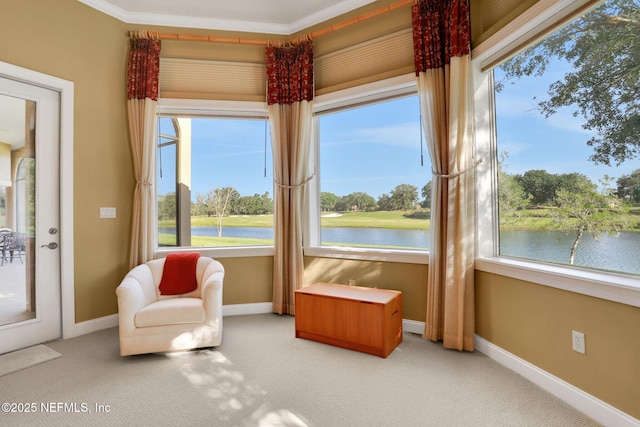 interior space featuring baseboards, a water view, a healthy amount of sunlight, and light carpet