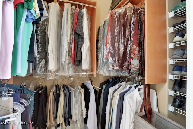 view of walk in closet