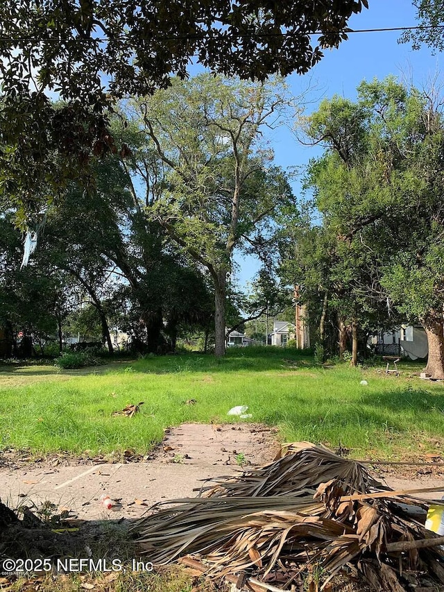 1435 W 5th St, Jacksonville FL, 32209 land for sale