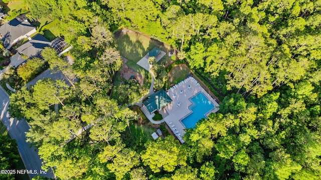 bird's eye view