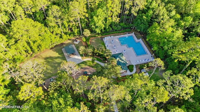 bird's eye view