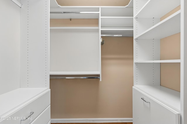 view of spacious closet
