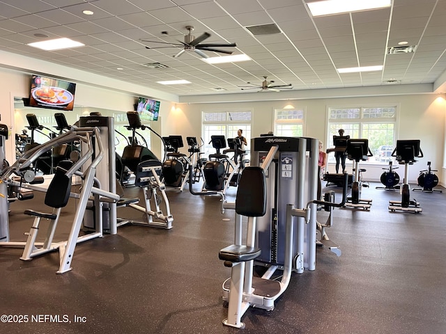 exercise room featuring visible vents, ceiling fan, and a drop ceiling