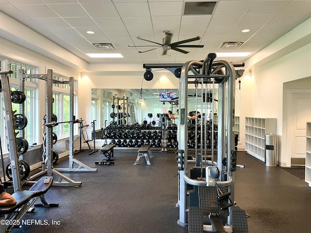 exercise room featuring visible vents, a ceiling fan, and a drop ceiling
