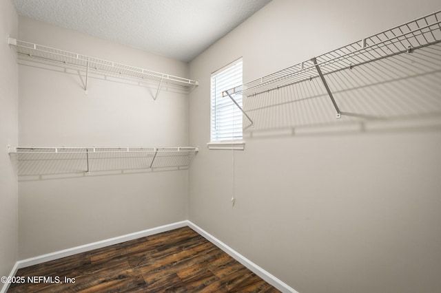 1821 Enterprise Ave, Saint Augustine, FL 32092 - spacious closet with dark wood finished floors