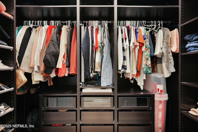 view of walk in closet
