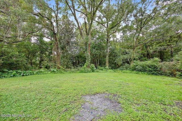 1232 Hamilton St, Jacksonville, FL 32205 - view of yard