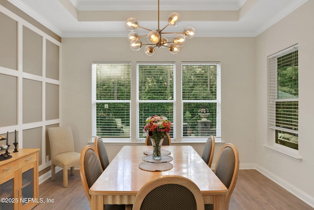 dining room featuring a tray ceiling, wood finished floors, and plenty of natural light