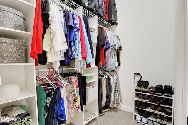 spacious closet with carpet