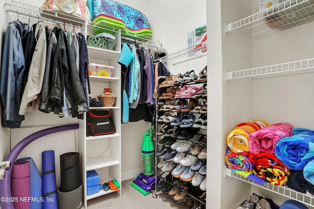 walk in closet featuring carpet flooring