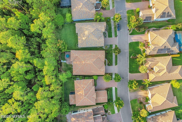 drone / aerial view