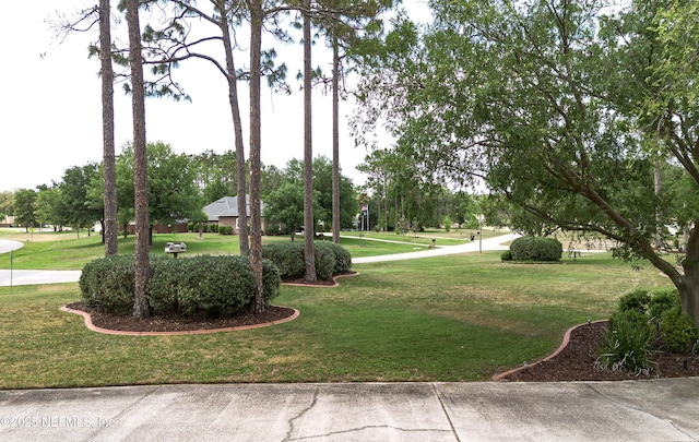 4637 Saddlehorn Trl, Middleburg, FL 32068 - view of property's community featuring a lawn