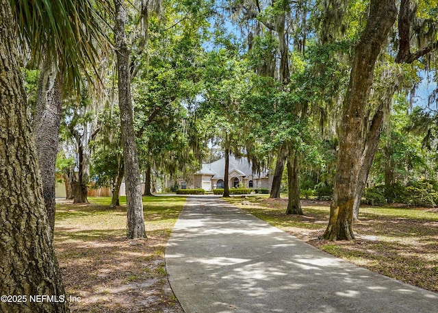 view of home's community featuring driveway