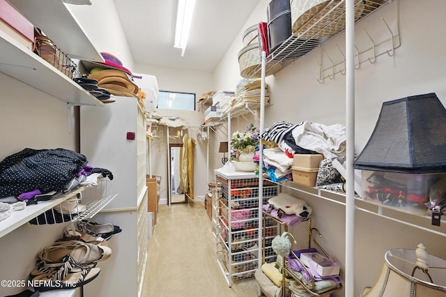 walk in closet with carpet