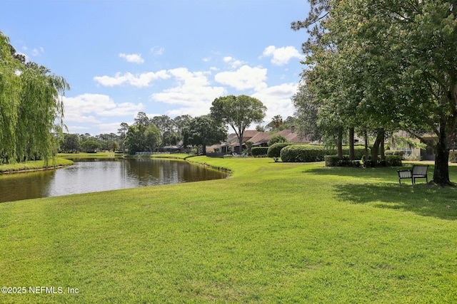 1695 Waters Edge Dr, Fleming Island, FL 32003 - view of home's community with a yard and a water view