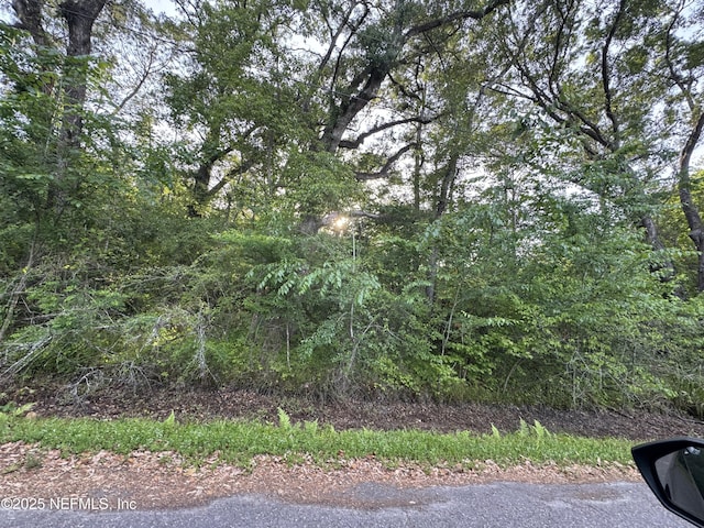 0 Monte St, Jacksonville, FL 32234 - photo 4