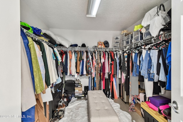 spacious closet featuring carpet