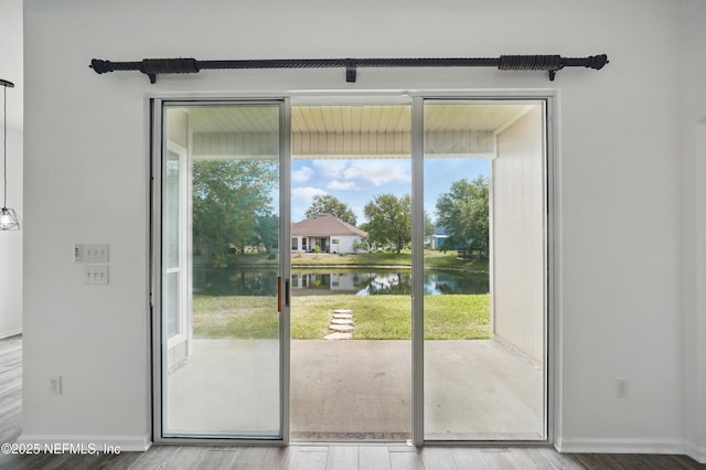 doorway featuring a water view, baseboards, wood finished floors, and plenty of natural light