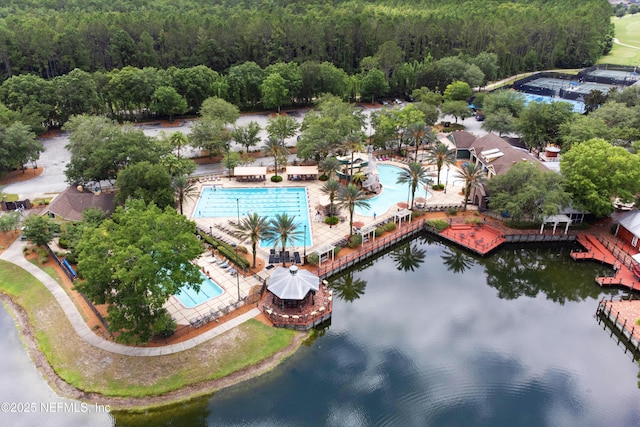 1071 Green Pine Cir, Orange Park, FL 32065 - photo 39