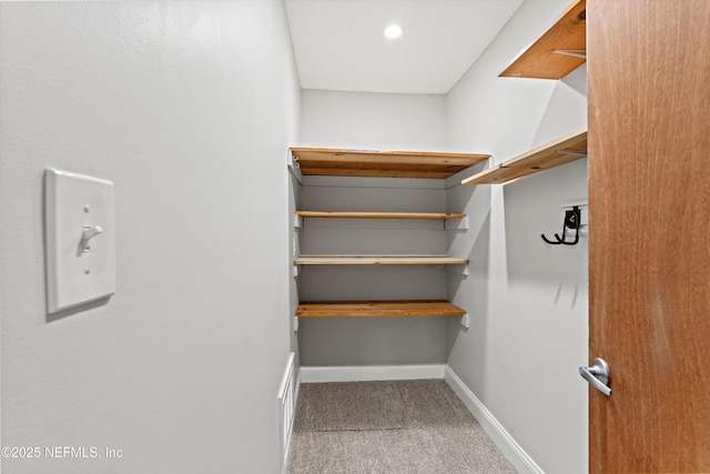 spacious closet with carpet floors